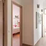 Mencey - Spectacular In Villa Arguineguin